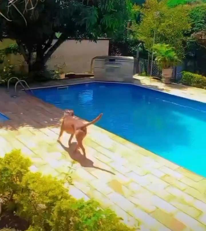 Willa Casa Com Piscina - Itupeva Zewnętrze zdjęcie
